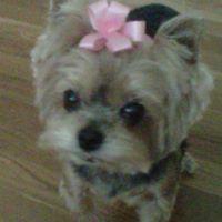 Carolyn Roberson Photo 13