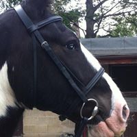 Carol Summers Photo 24 Carol Summers Photo 24