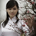 Dao Phan Photo 32