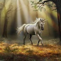 Jana Vaughan Photo 23