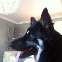 Charlotte Wheeler Photo 33