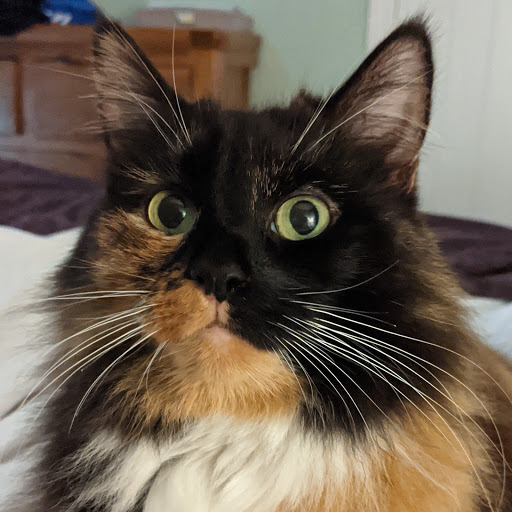 Clara Heard Photo 2