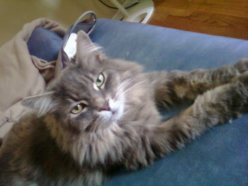 Regina Eldridge Photo 5