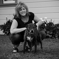 Cindy Simms Photo 22 Cindy Simms Photo 22