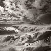 Gina Gillespie Photo 16
