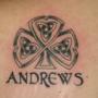 Sean Andrews Photo 15