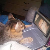 Annette Hayden Photo 20