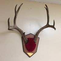 Daniel Fite Photo 18