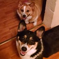 Chandra Mccoy Photo 6