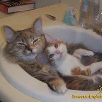 Christine Neale Photo 17