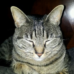 Jill Monahan Photo 9