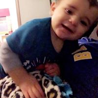 Cynthia Collard Photo 9