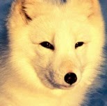 Teresa Travis Photo 19