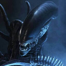 Vincent Pham Photo 18