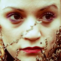 Stephen Kincaid Photo 10