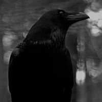 Jennifer Bradley Photo 28