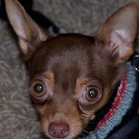 Ruben Hector Photo 4