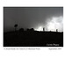 Curtis Olmstead Photo 8