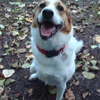 Casey Summers Photo 9