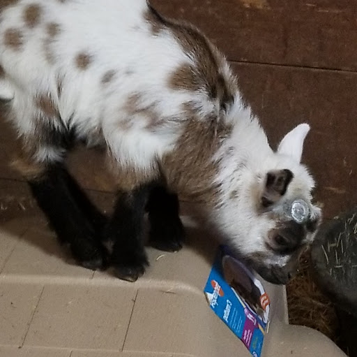 Bruce Kessler Photo 32