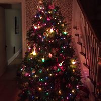 Lisa Mcmahon Photo 11