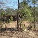 Hubert Greene Photo 9