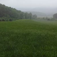 Cathy Collins Photo 16