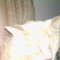 Dennis Cook Photo 21