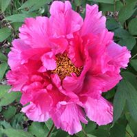 Sandra Hale Photo 25