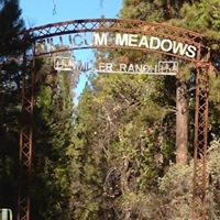 Nellie Moore Photo 34 Nellie Moore Photo 34