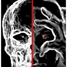 Stephen Craig Photo 37 Stephen Craig Photo 37