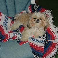 Annabelle Lee Photo 27