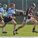Kevin Hynes Photo 26