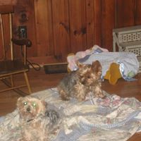 Judy Dunbar Photo 20