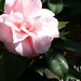 Maria Bloom Photo 31