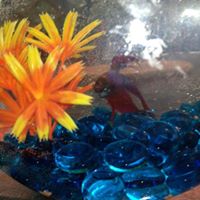 Kathleen Gerard Photo 6