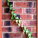 Holly Persons Photo 11
