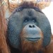 Don Goodall Photo 5