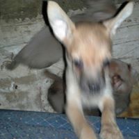 Annette Martin Photo 38