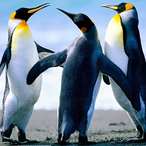 Phillip Baldwin Photo 27