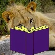 Neil Abramson Photo 16