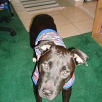 Ruby Erickson Photo 22