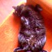 John Mcvicker Photo 15