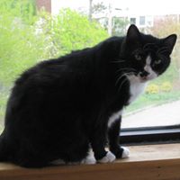 Deanna Magee Photo 18