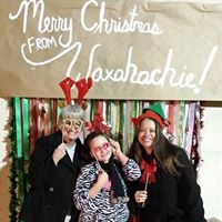 Wendi Jenkins Photo 7