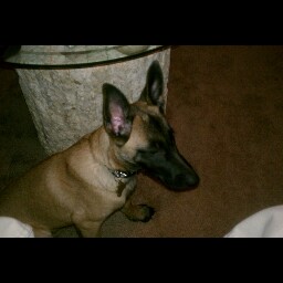 Ronald Crowe Photo 11