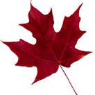 Sarah Curran Photo 46