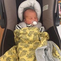 Andrew Howarth Photo 7