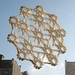 Chris Palmer Photo 33