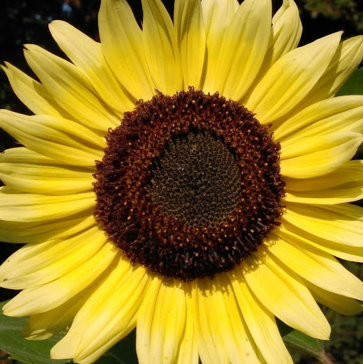 Sandra Rennie Photo 18